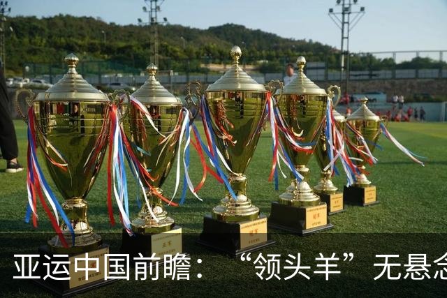亚运中国前瞻：“领头羊”无悬念 “含金量”见真章